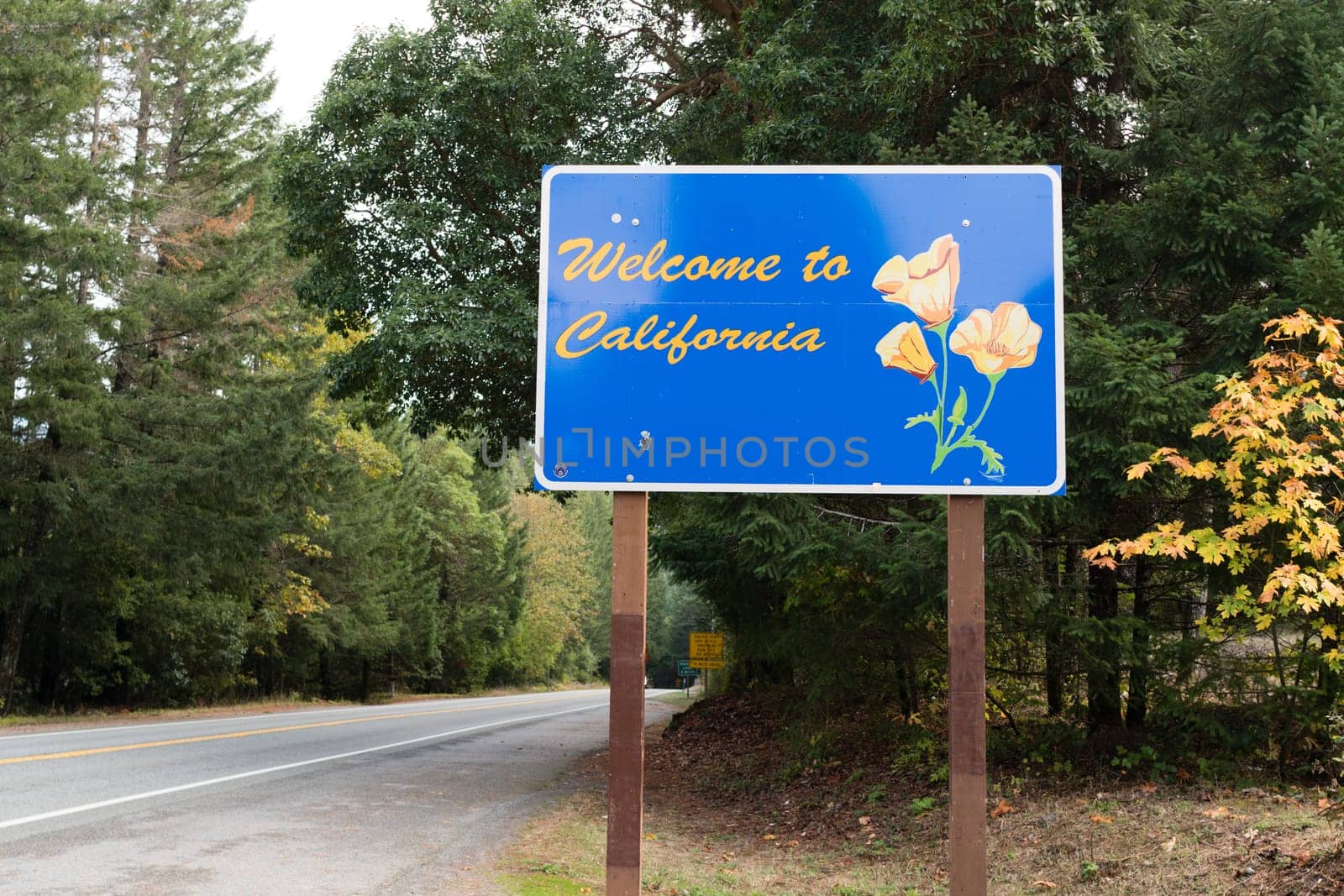 South on 101 between Oregon and California you will see this sign