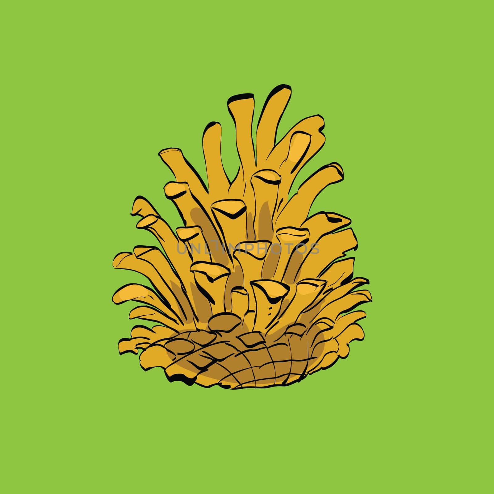 Christmas-tree pine cone, color vector illustration. Christmas holiday and New year