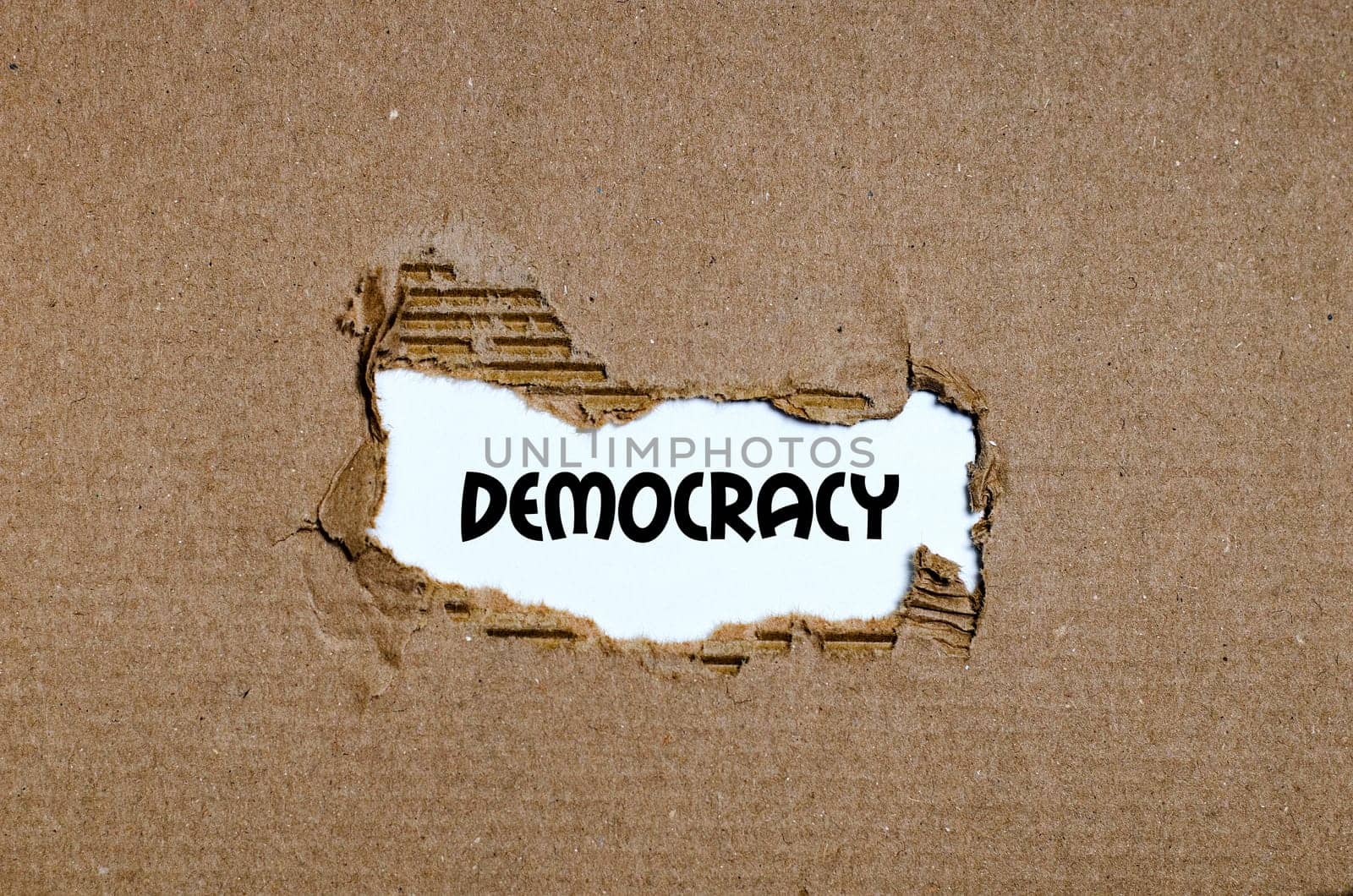 The word democracy appearing behind torn paper