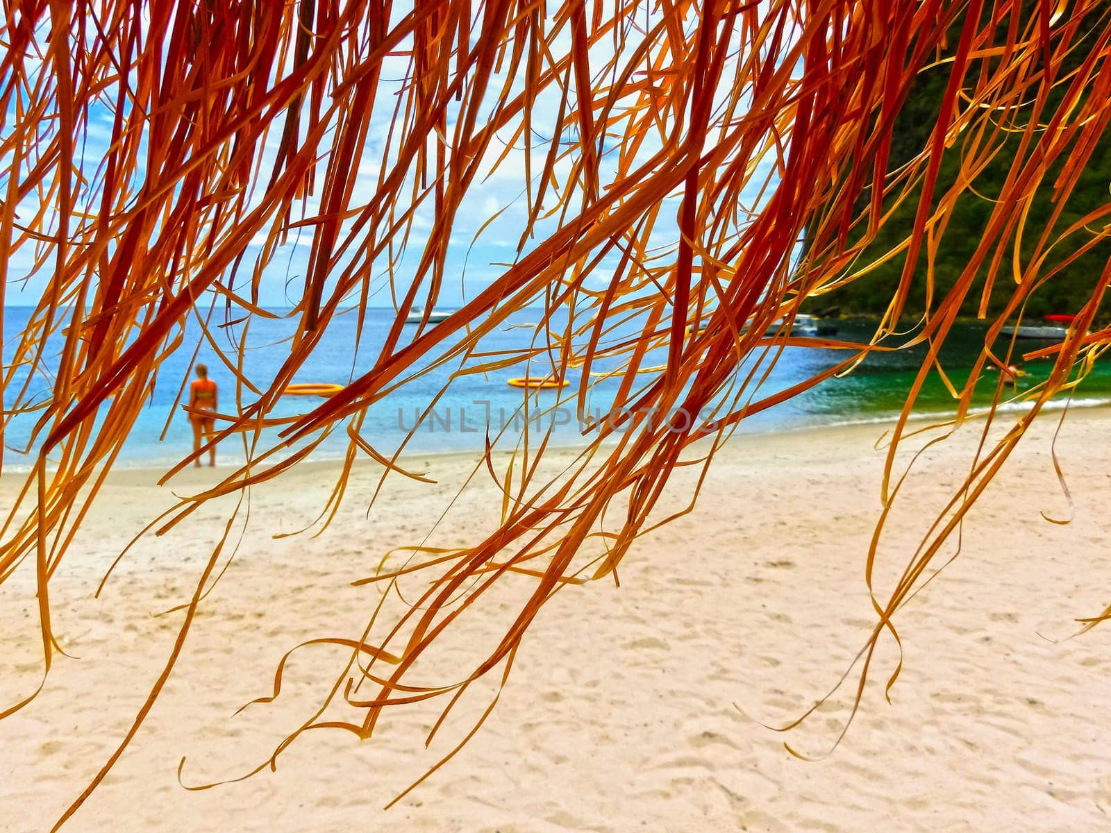 The Caribbean tropical beach. View through the thatched roof
