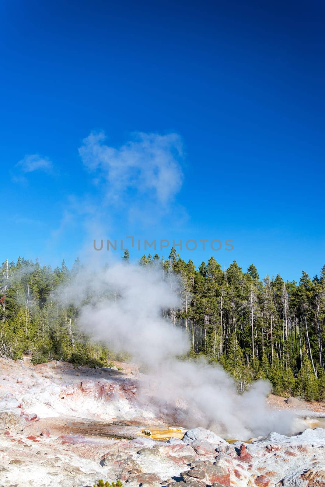 Vertical view of Steamboat Geyser in Yellowstone National Park