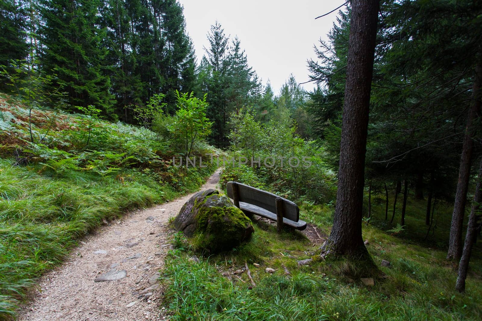 Panoramic view of a pathway in Seiser Alm