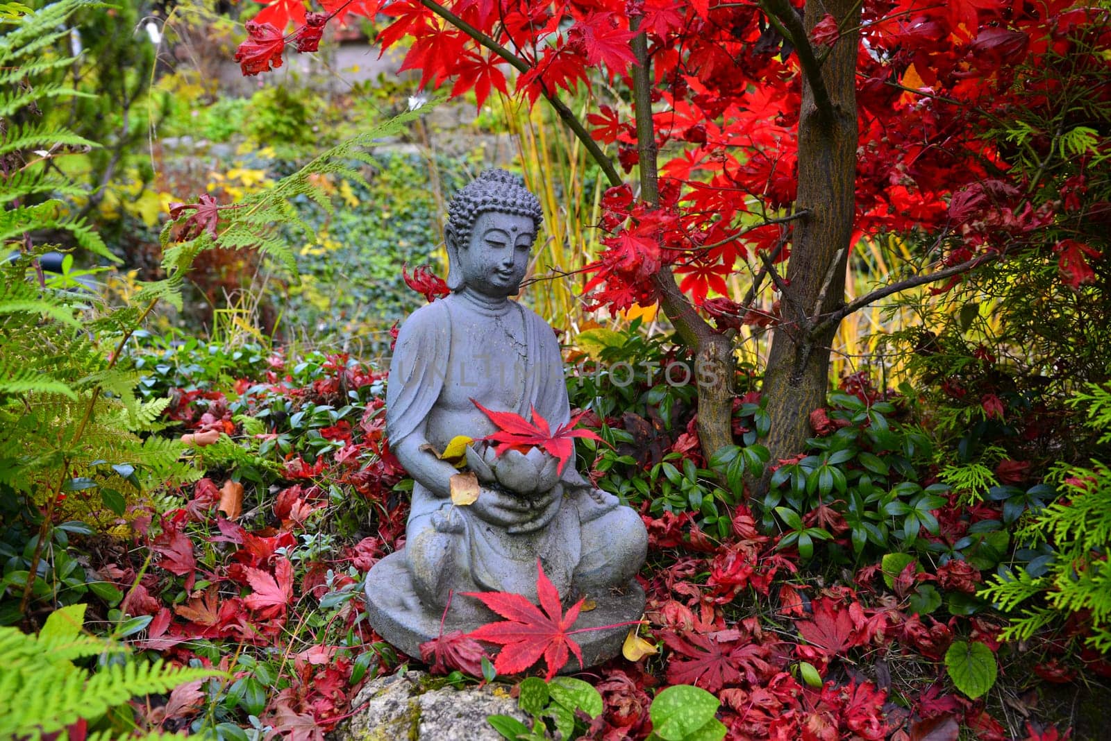 colorful autumn in the garden by a pond with a Buddha