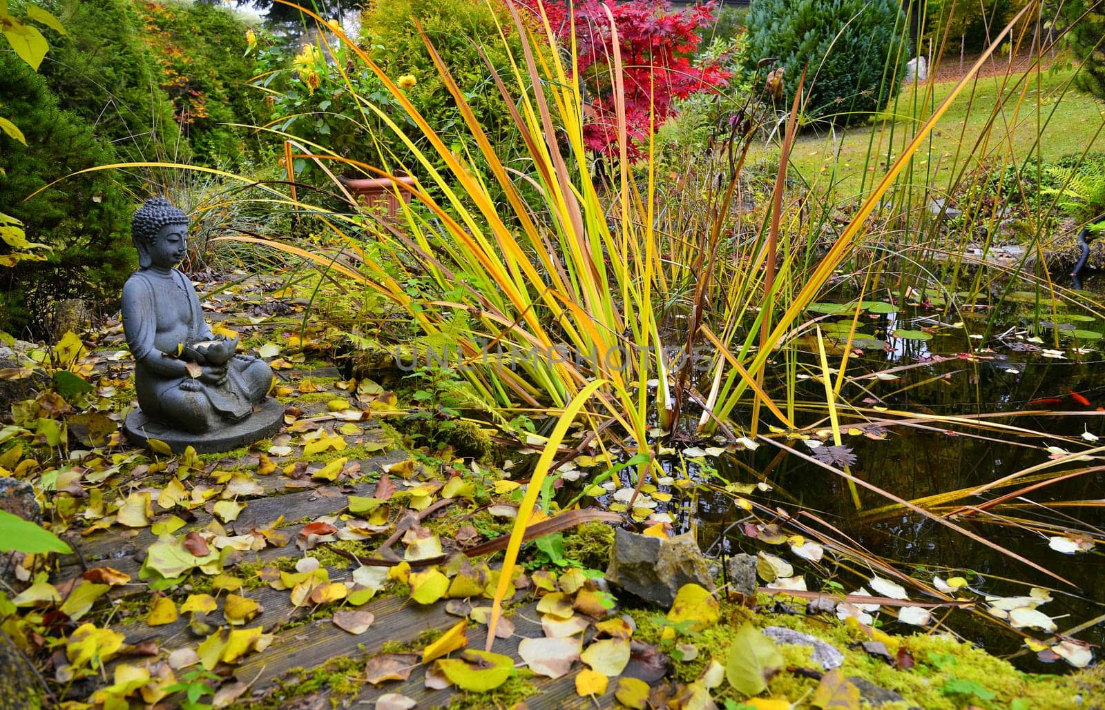 colorful autumn in the garden by a pond with a Buddha
