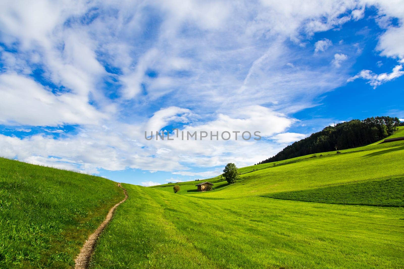 Panoramic view of green fields, blue sky with clouds in Seiser Alm