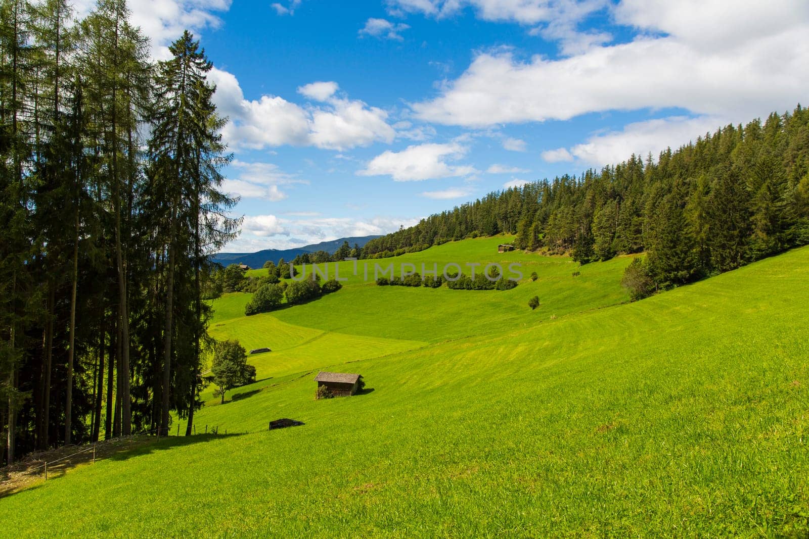 View a portion of the valley in Seiser Alm with green fields and blue sky
