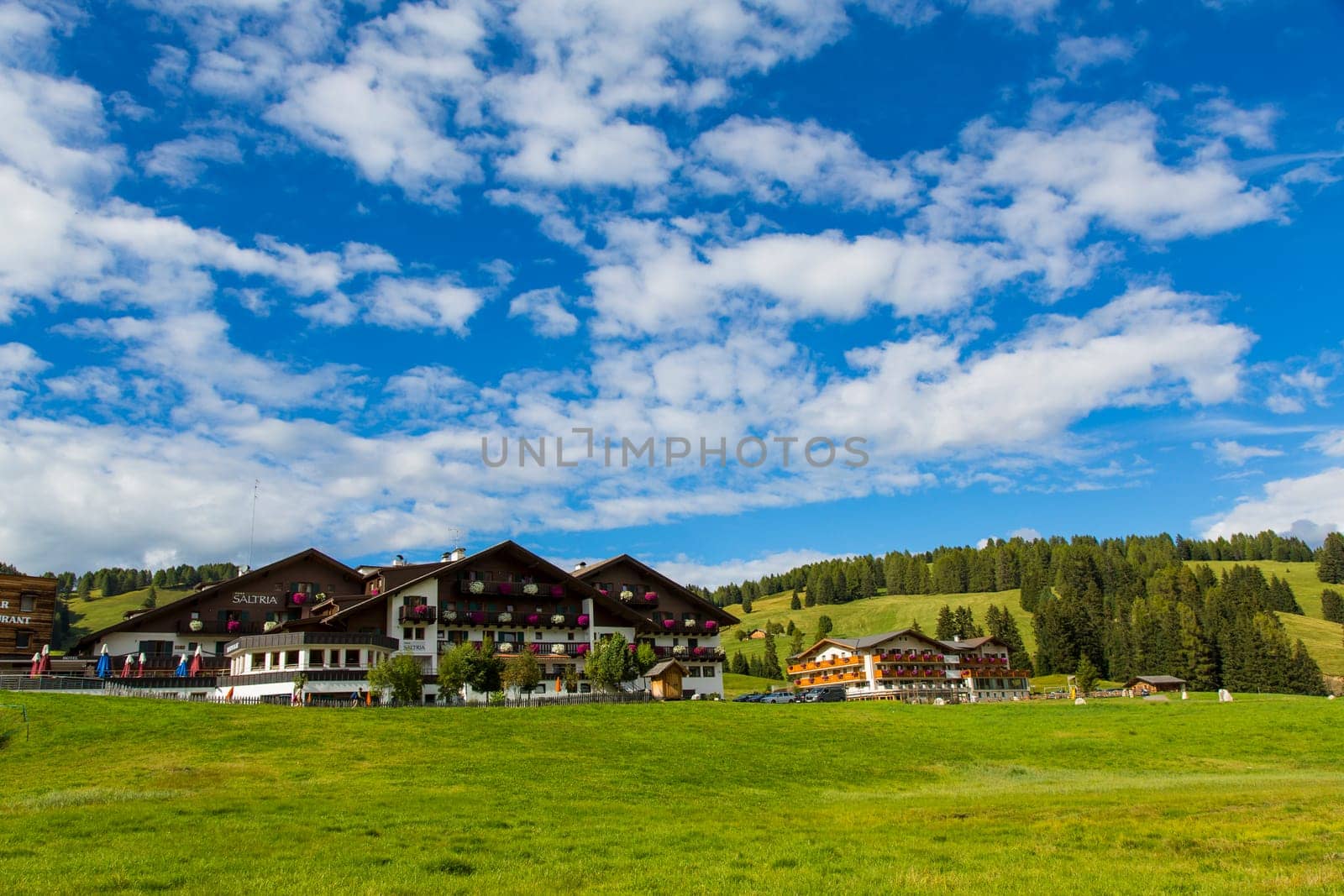 View of a group of houses in the village of Saltria in Seiser Alm
