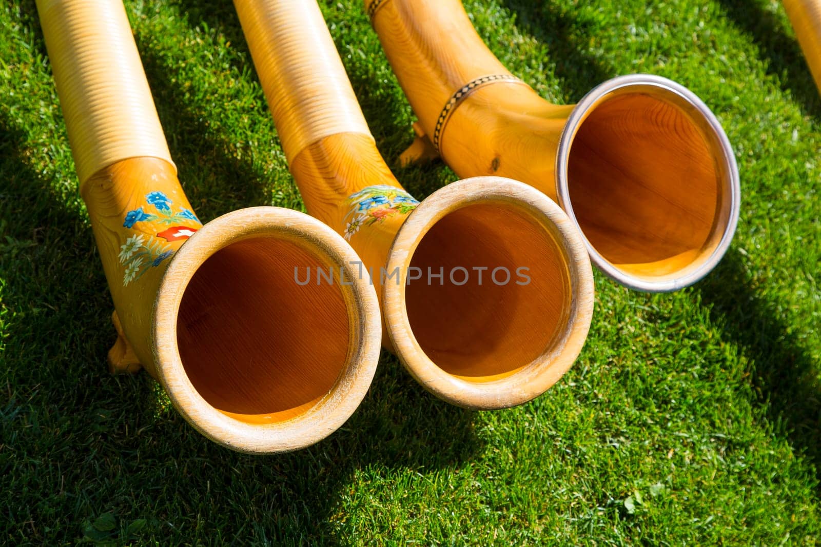 Top view of Alpine horns on green grass