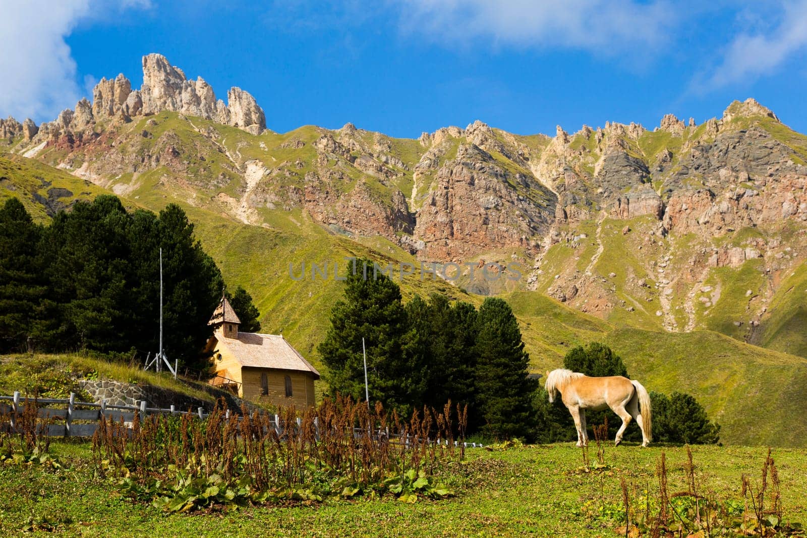 Mountain landscape wiyh horse in the foreground with church and mountains in the background in a sunny  day