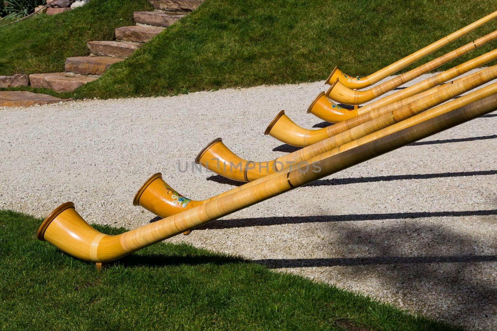 Top view of Alpine horns on green grass