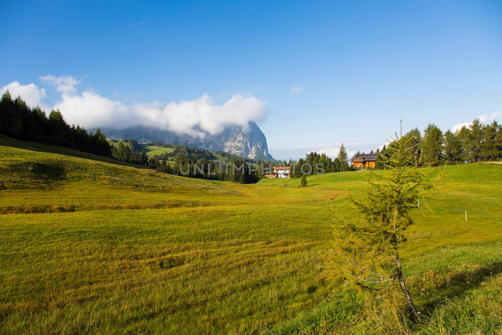 View of an expanse of grass in Seiser Alm
