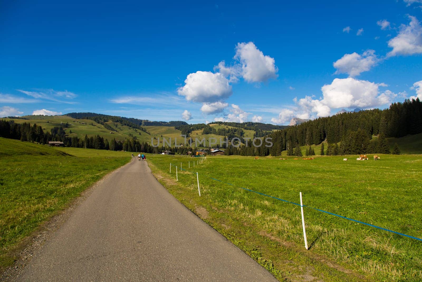 Hiking trail between green fields blue sky with clouds