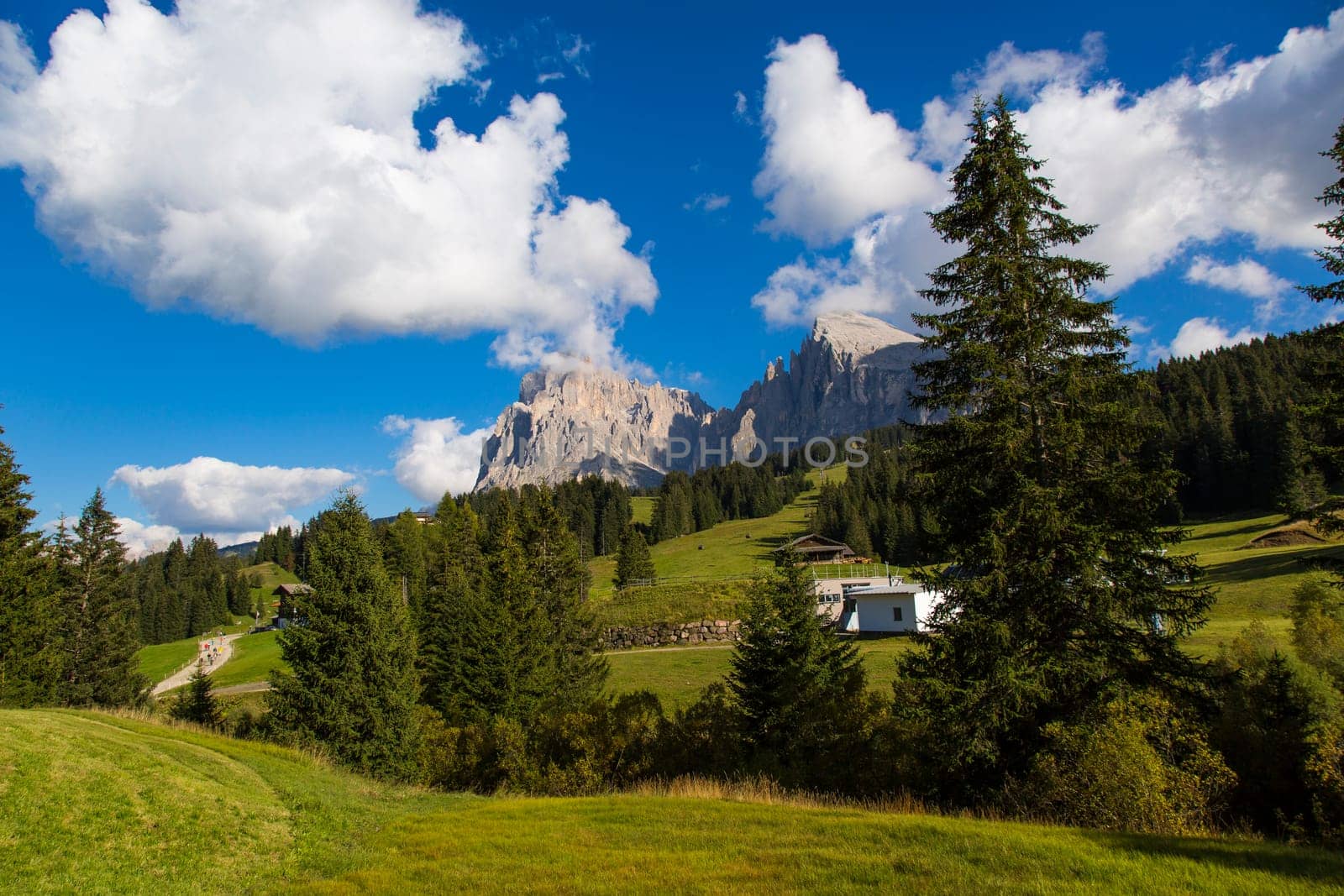 mountain landscape with trees, blue sky, clouds and mountain range on the background