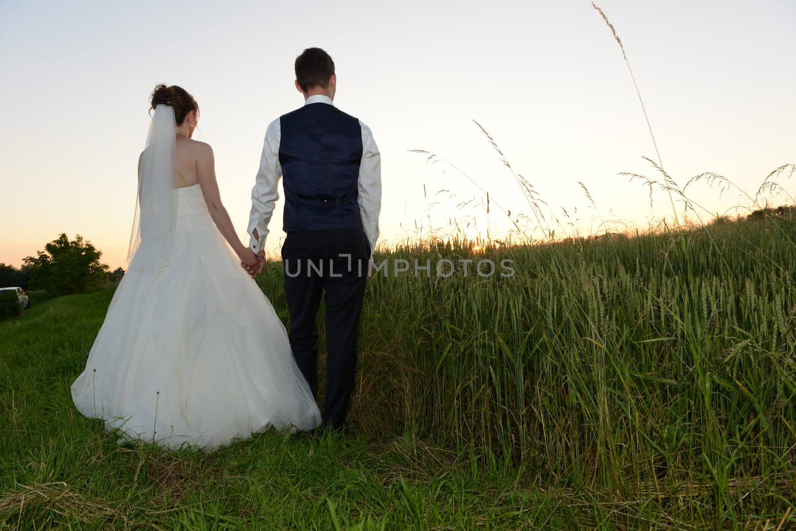 Bridal couple in the sunset from behind