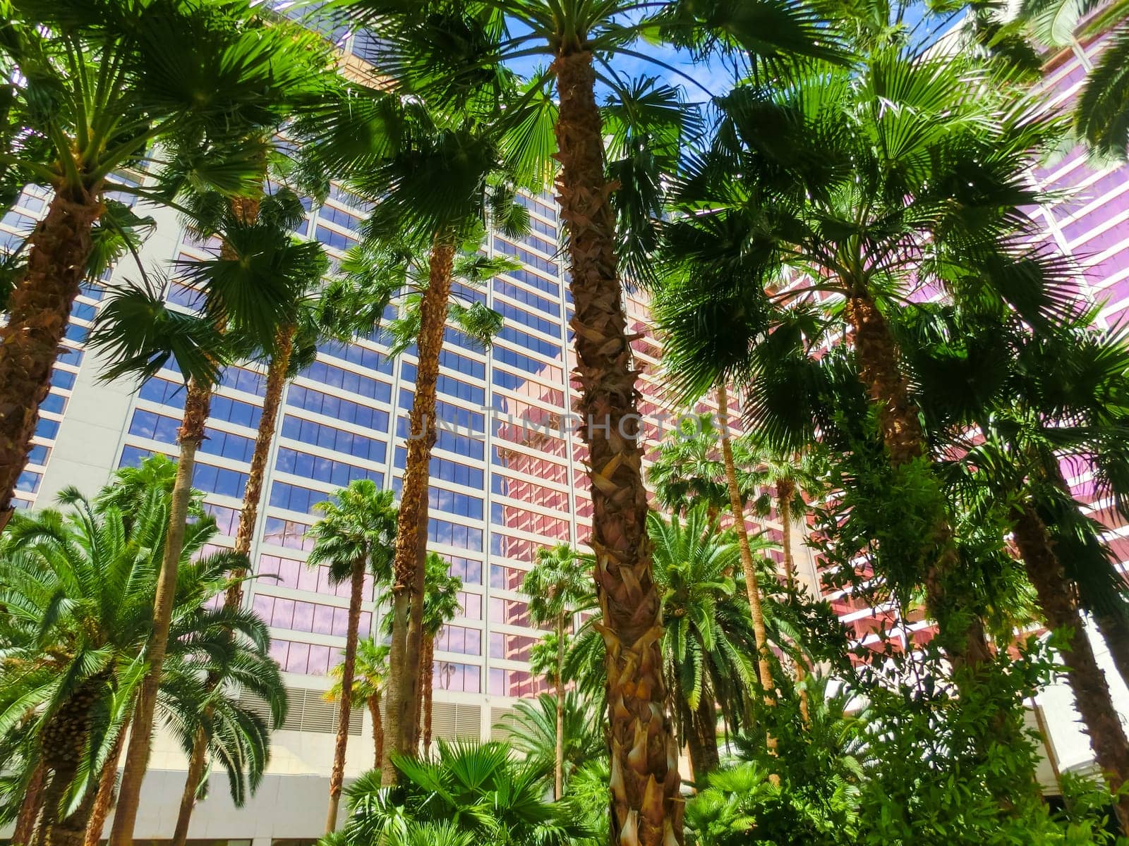 Las Vegas, United States of America - May 05, 2016: Flamingo Hotel and Casinoon the Strip in Las Vegas, Nevada. Opened in 1946, the hotel has 3,626 rooms and the casino 77,000 square feet of gaming space.