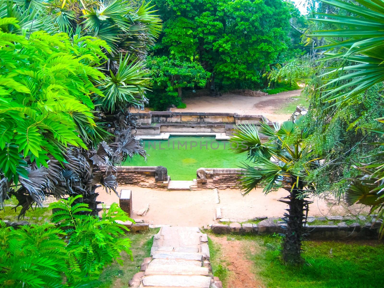 The pond at Polonnaruwa temple - medieval capital of Ceylon or Sri Lanka, Asia, UNESCO