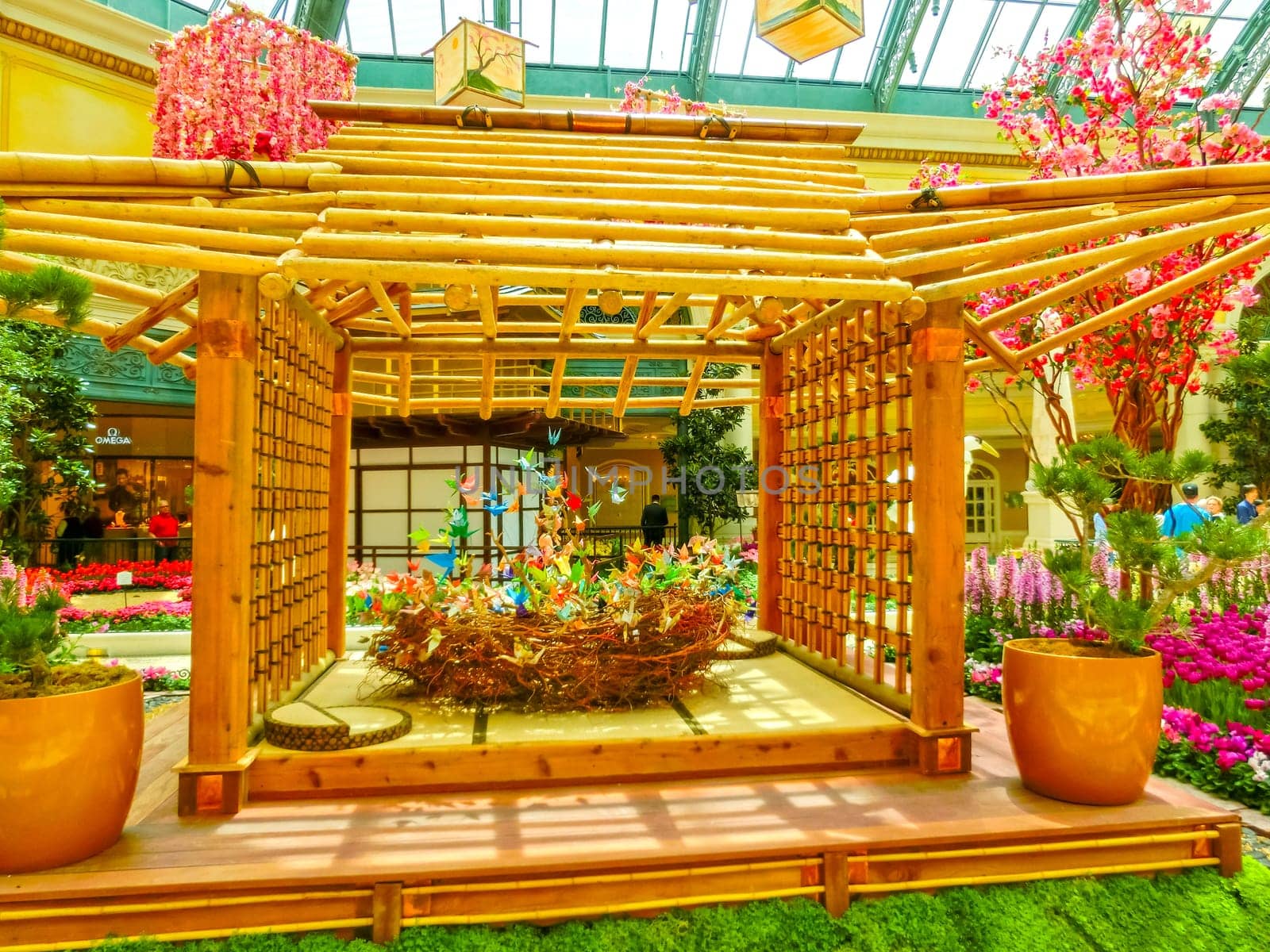 Las Vegas, United States of America - May 05, 2016: The Japanese flowering garden at luxury hotel Bellagio at Las Vegas, United States of America