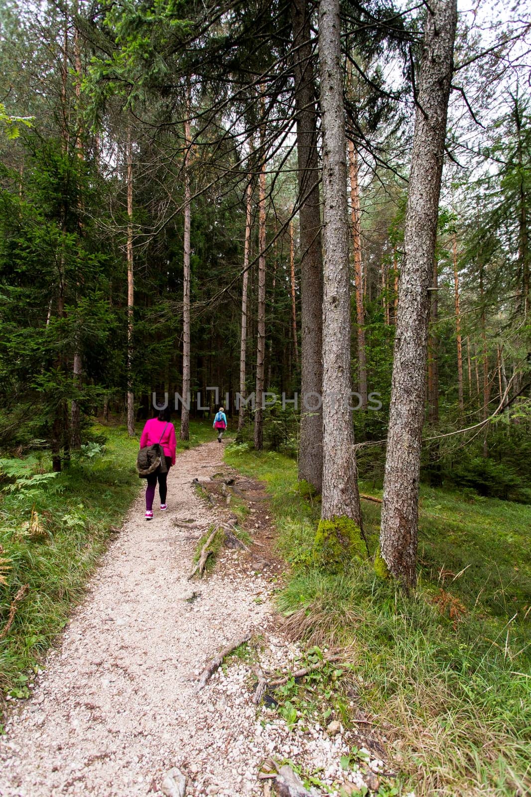 View a path in Seiser Alm with hikers