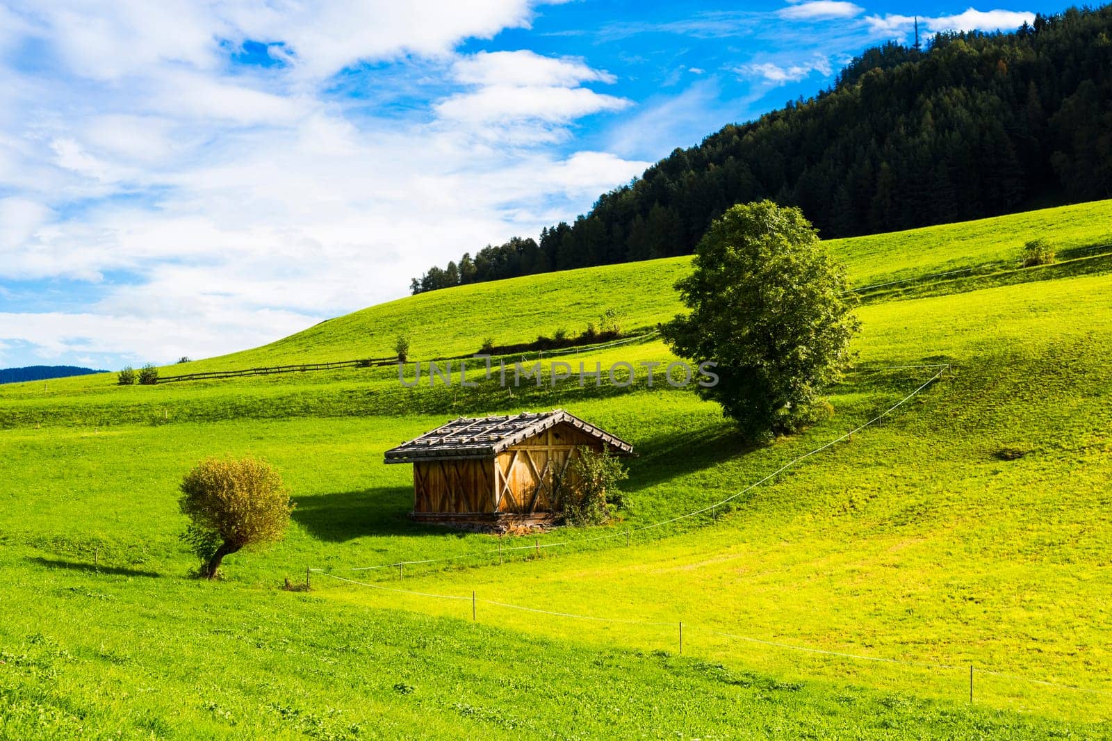 View of an alpine warehouse in a green meadow in Seiser Alm