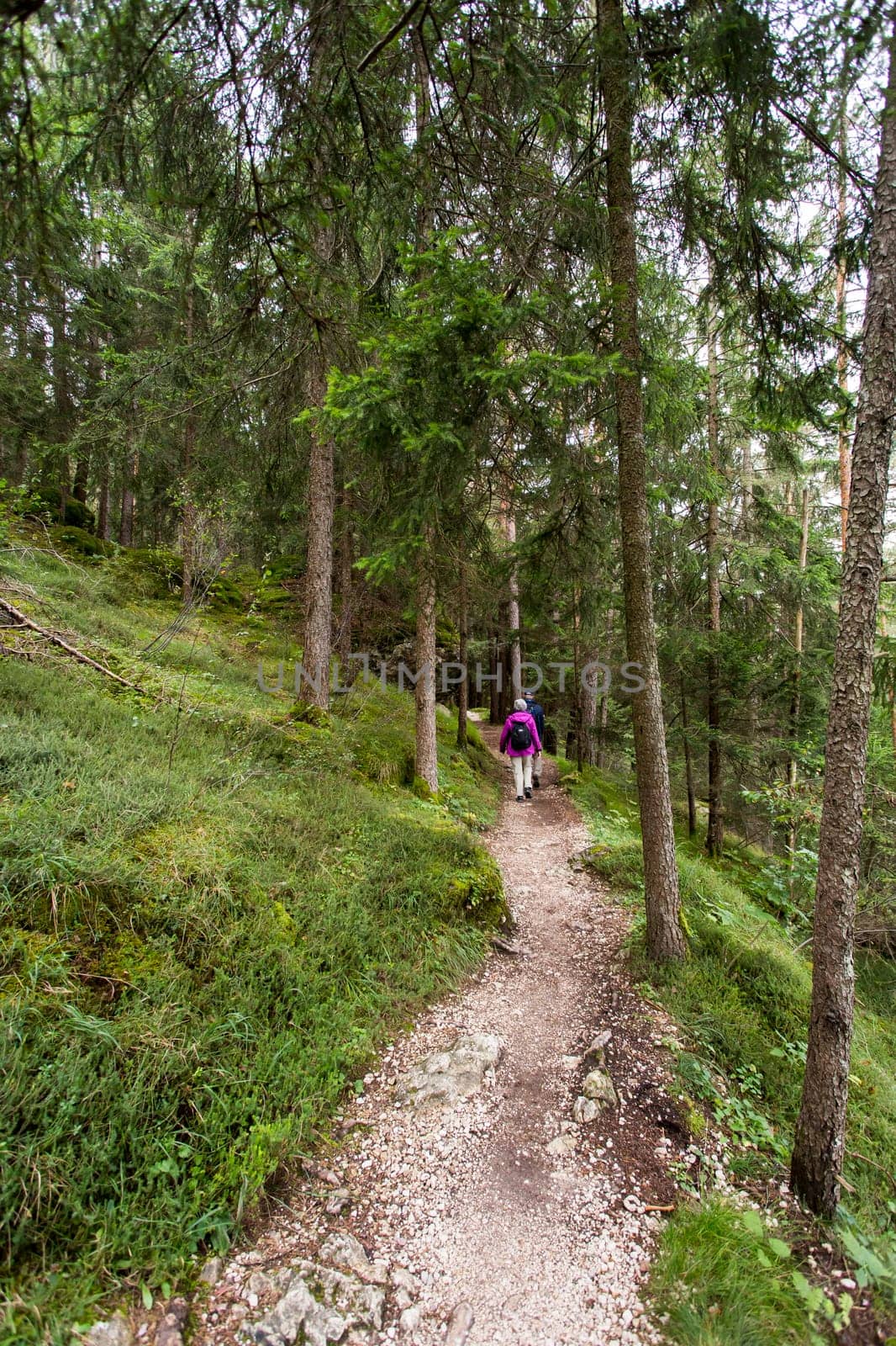 View a path in Seiser Alm with hikers