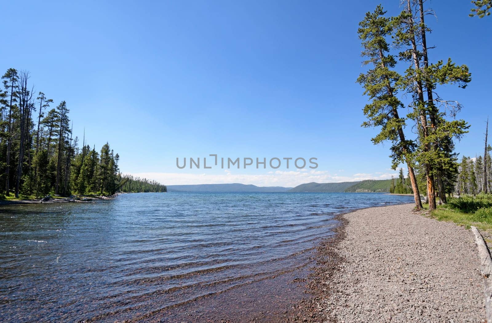 Shoshone Lake on a Sunny Day in Yellowstone National Park in Wyoming