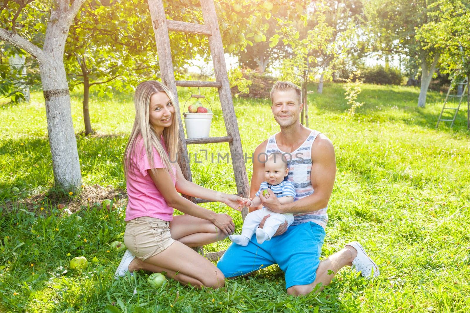 Young beautiful family picking apples from an apple tree
