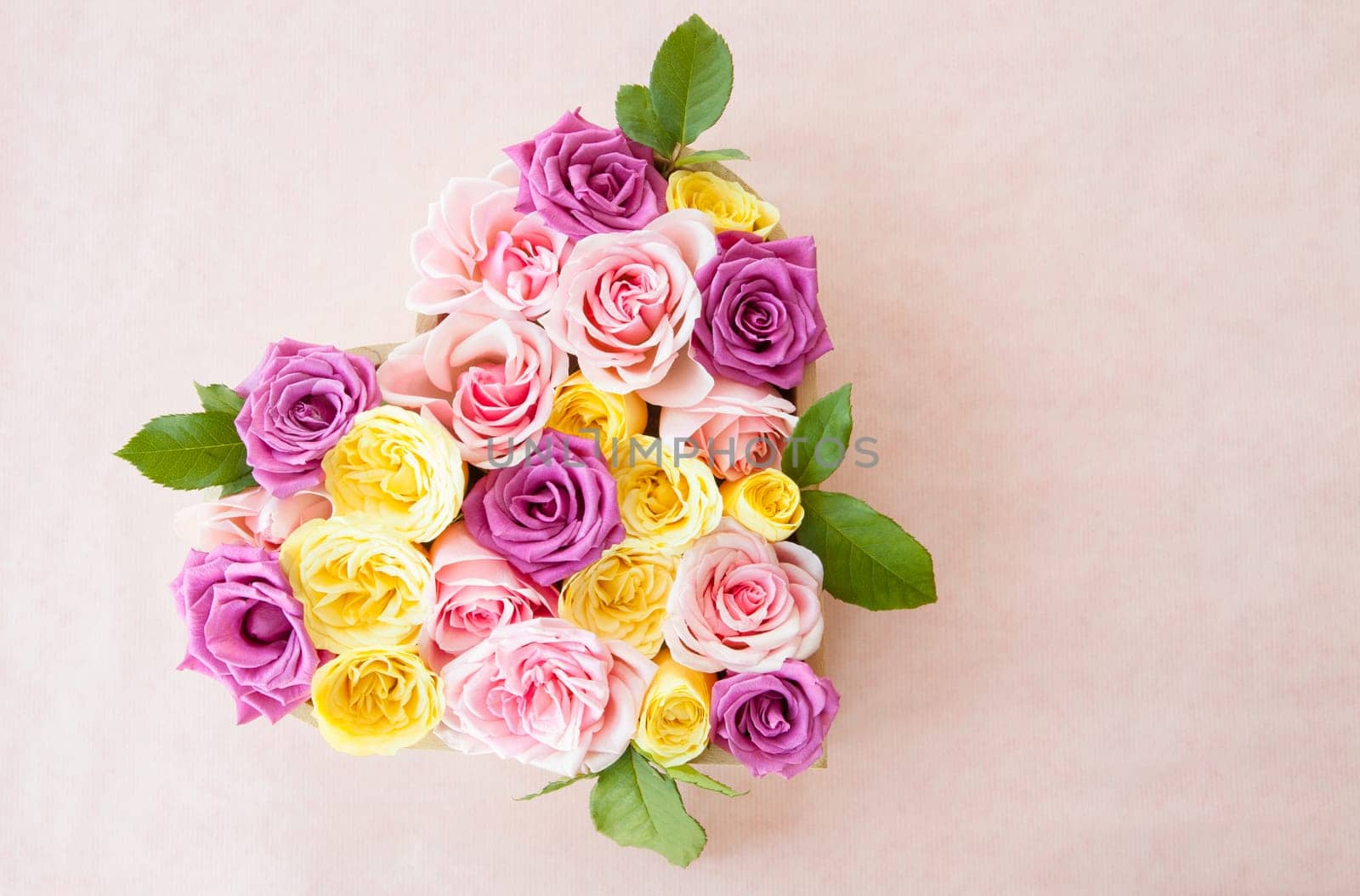 Roses in different colors as a background with text space