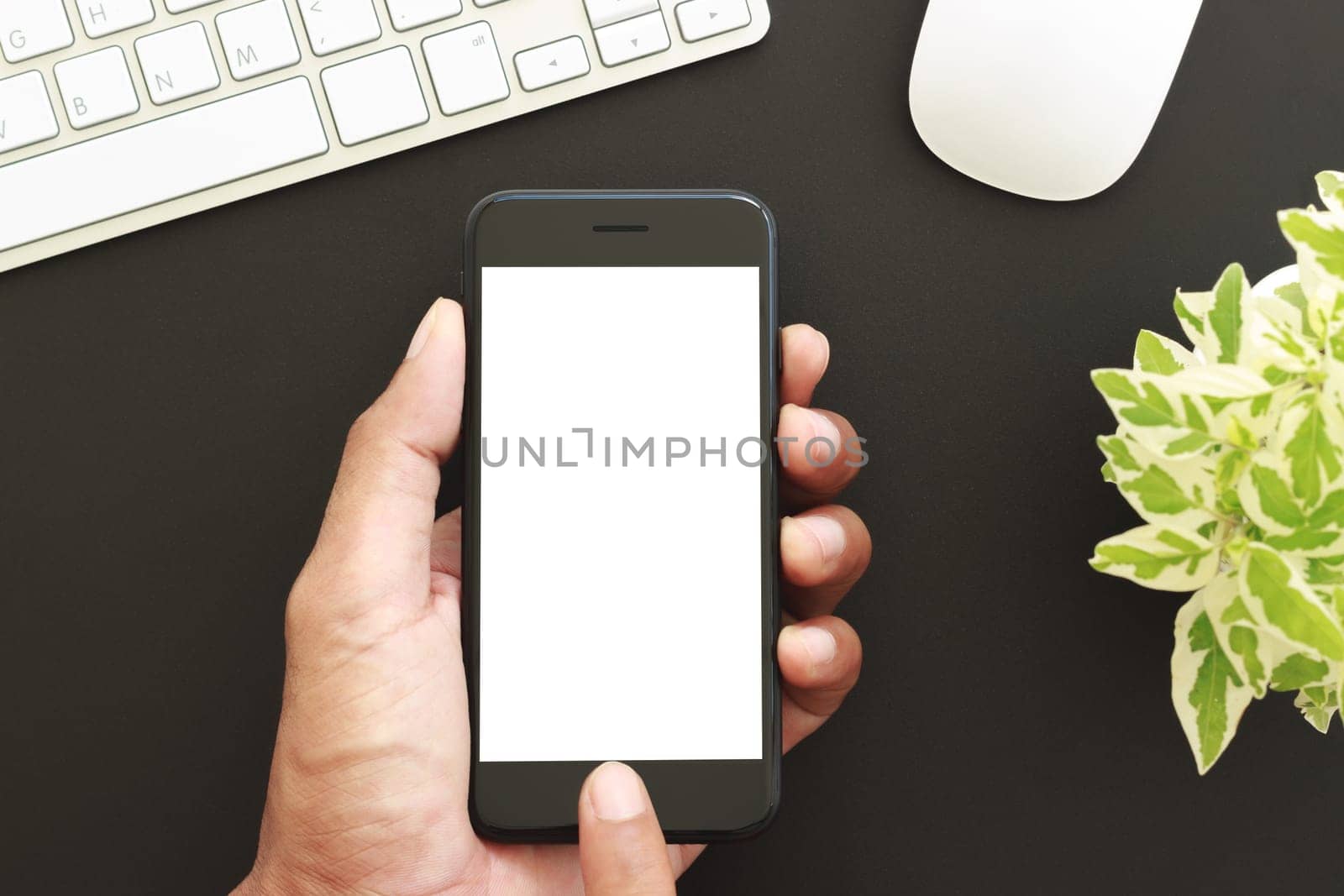 hand hold phone white screen display, close-up business man touch on new smart phone modern technology lifestyle