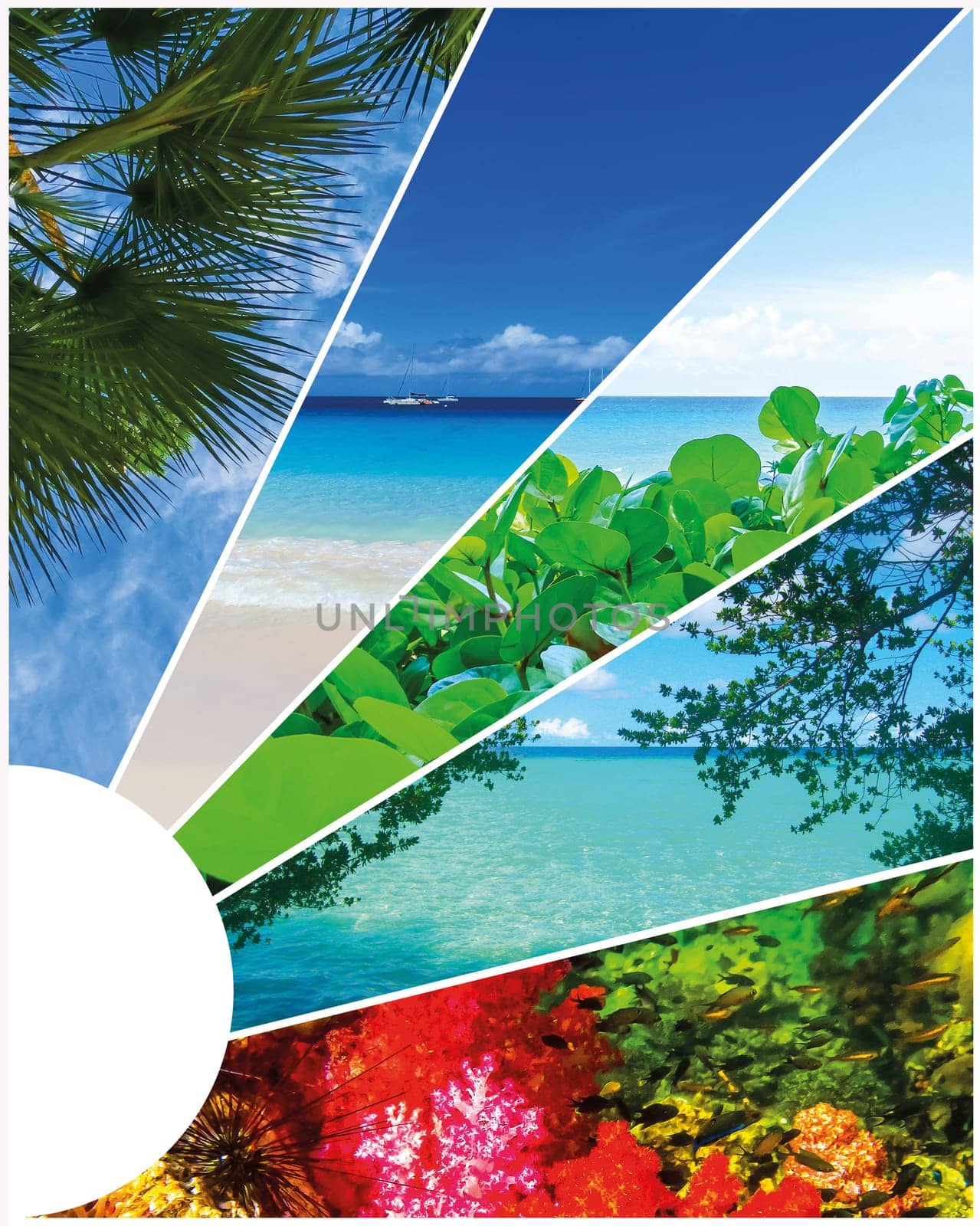 Collage of summer beach images - nature and travel locations