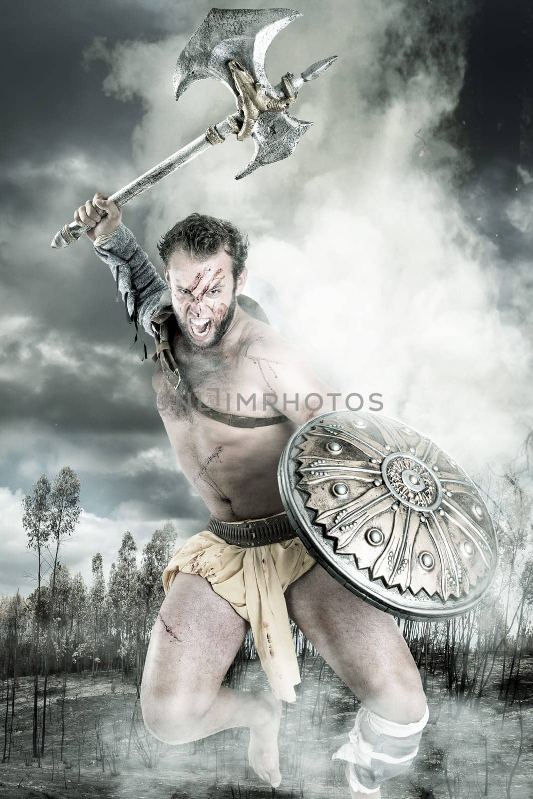 Ancient warrior or Gladiator fighting in a burned forest