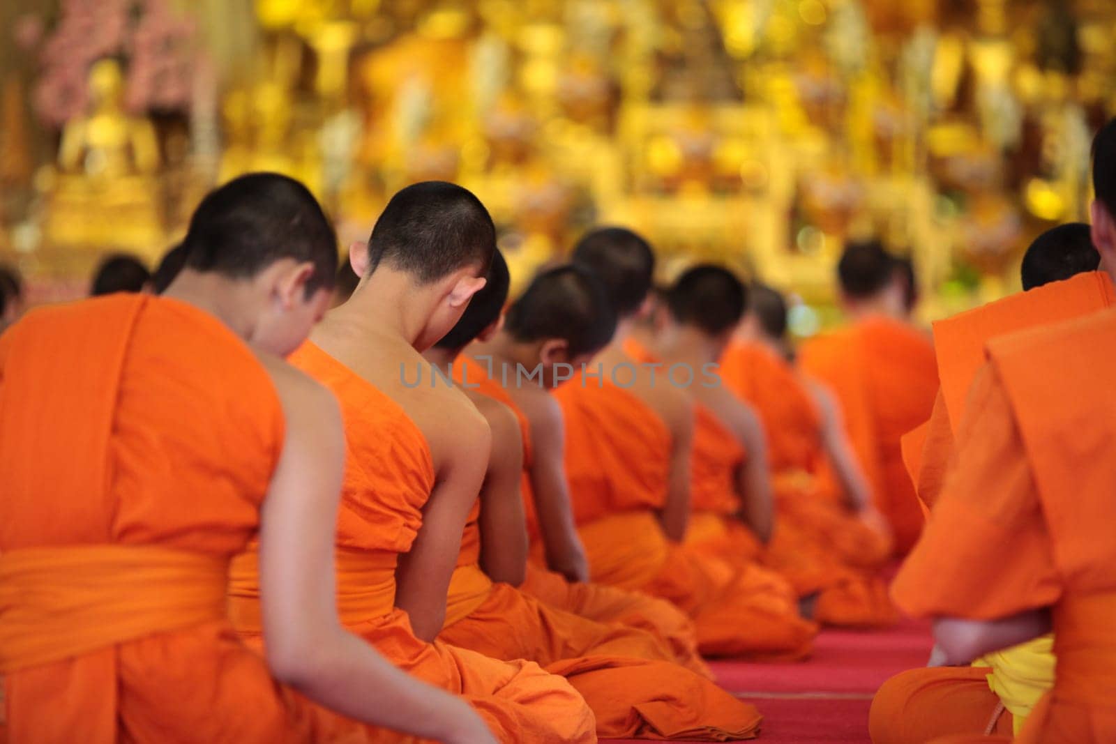 the Wat Phra Sing Temple in the city of chiang mai in the north of Thailand in Southeastasia. ...