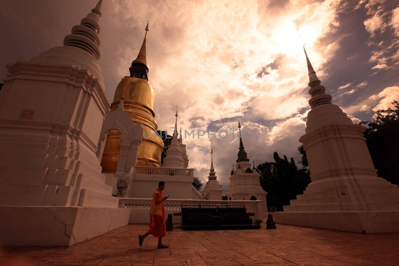 the Wat Suan Dok Temple in the city of chiang mai in the north of Thailand in Southeastasia. ...