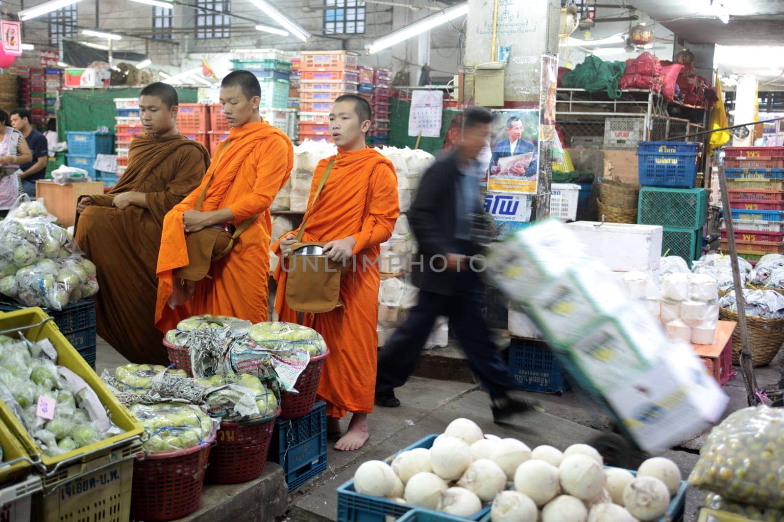 monk at the Talat Warorot in the city of chiang mai in the north of Thailand in Southeastasia. ...