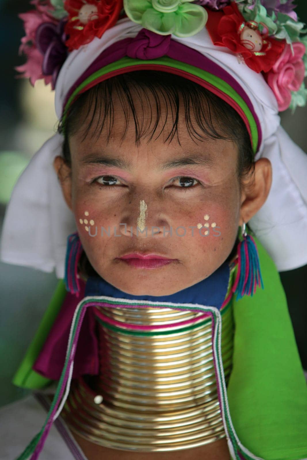 a traditional longneck women of the Paudang minority from Burma in a village north of chiang mai in the north of Thailand in Southeastasia. ...