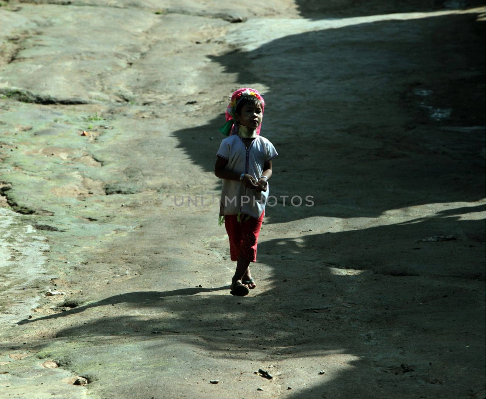 a traditional longneck women of the Paudang minority from Burma in a village north of chiang mai in the north of Thailand in Southeastasia. ...