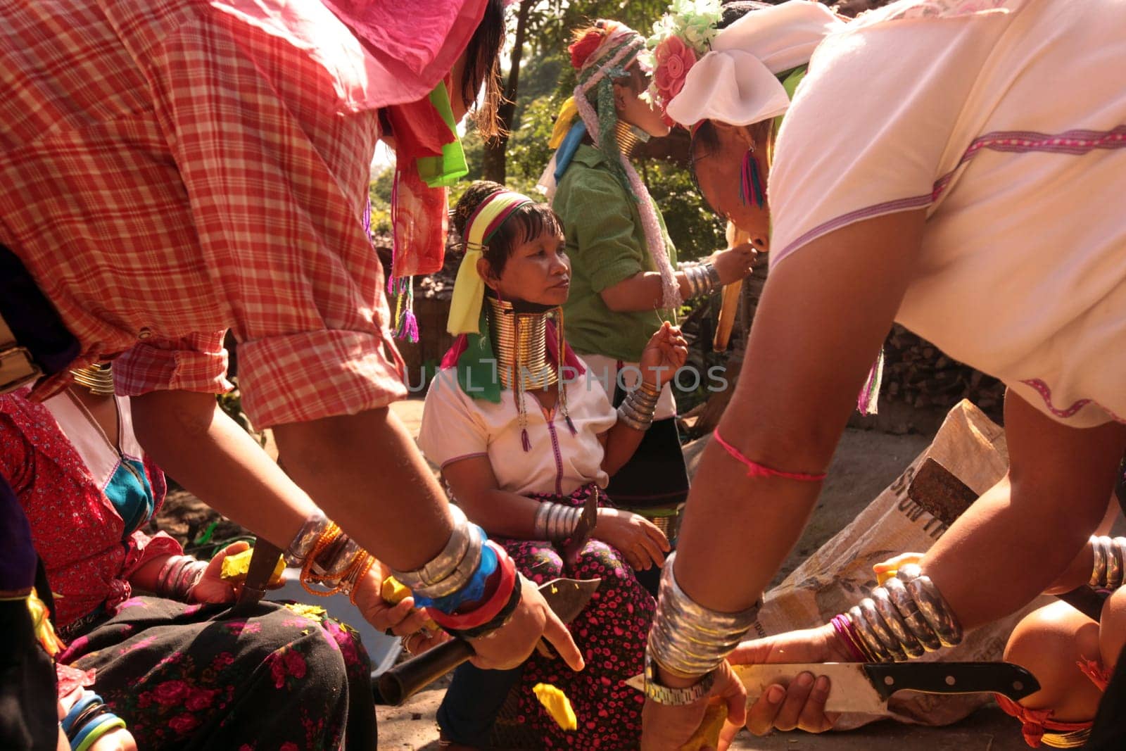 a traditional longneck women of the Paudang minority from Burma in a village north of chiang mai in the north of Thailand in Southeastasia. ...