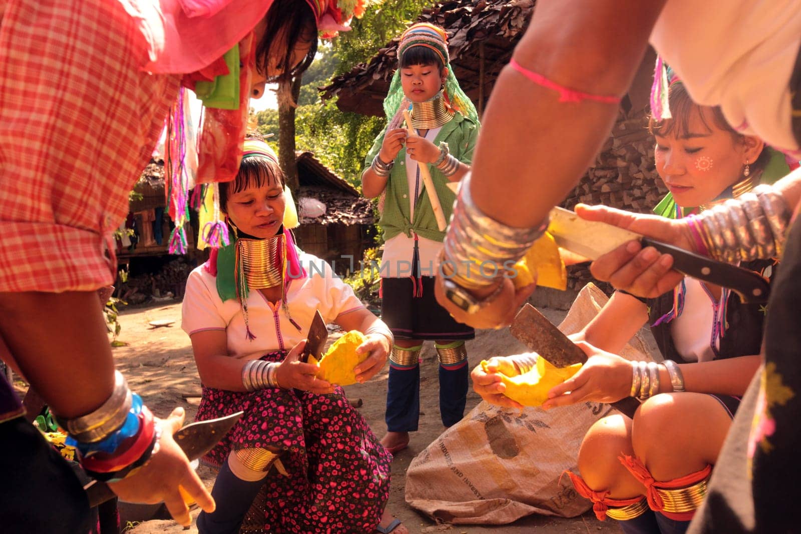 a traditional longneck women of the Paudang minority from Burma in a village north of chiang mai in the north of Thailand in Southeastasia. ...