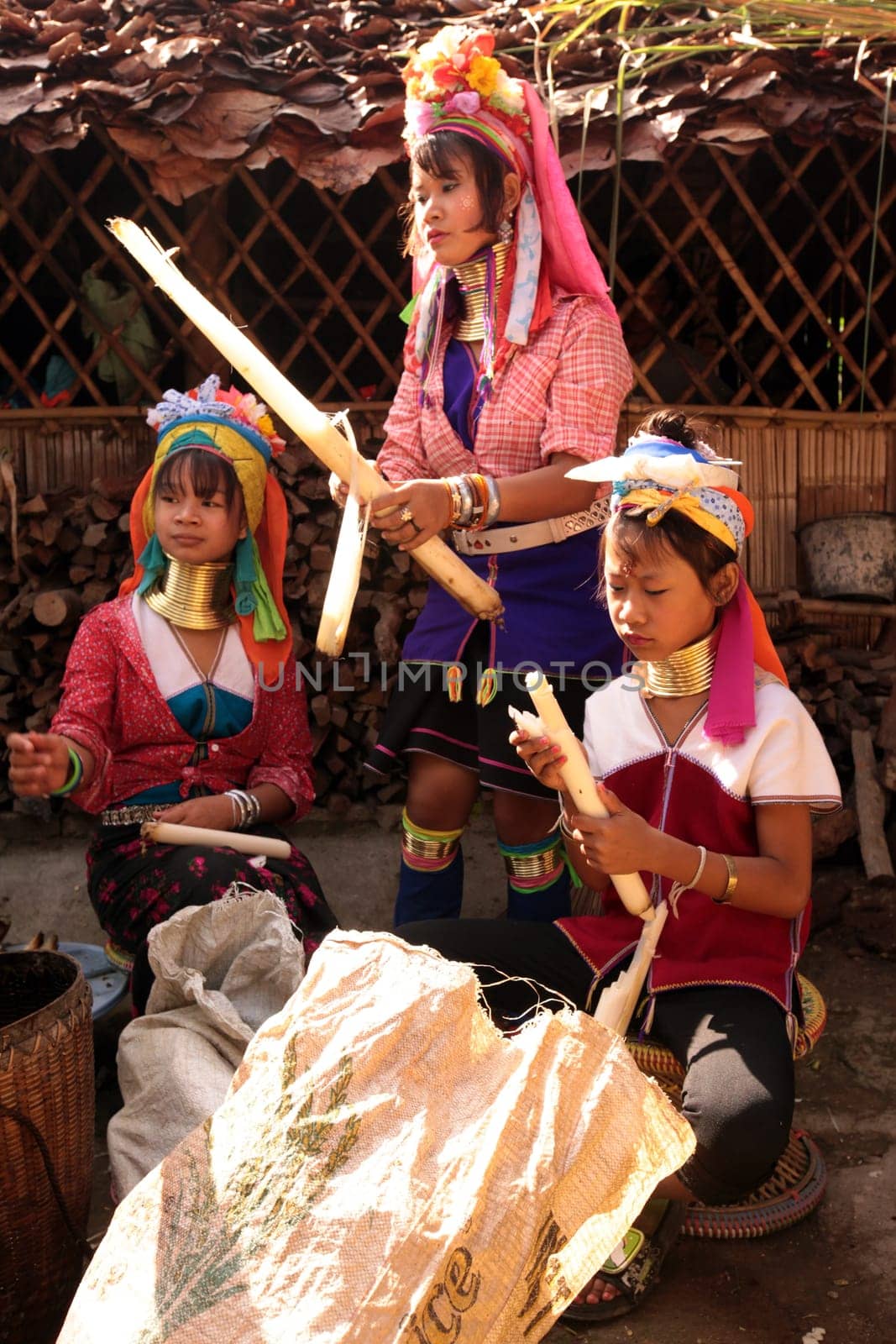 a traditional longneck women of the Paudang minority from Burma in a village north of chiang mai in the north of Thailand in Southeastasia. ...