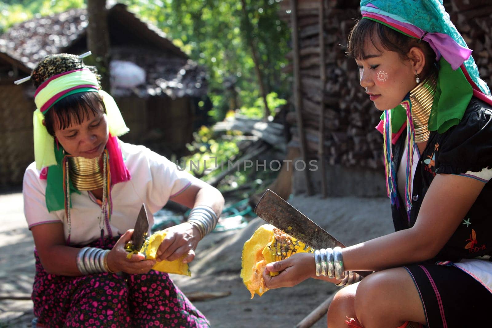 a traditional longneck women of the Paudang minority from Burma in a village north of chiang mai in the north of Thailand in Southeastasia. ...