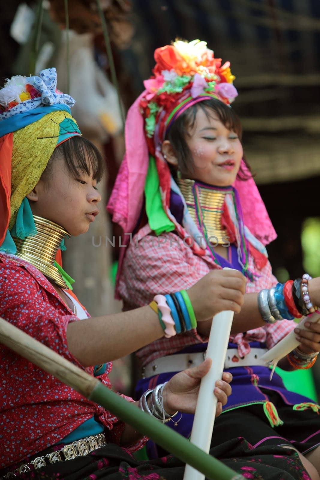 a traditional longneck women of the Paudang minority from Burma in a village north of chiang mai in the north of Thailand in Southeastasia. ...