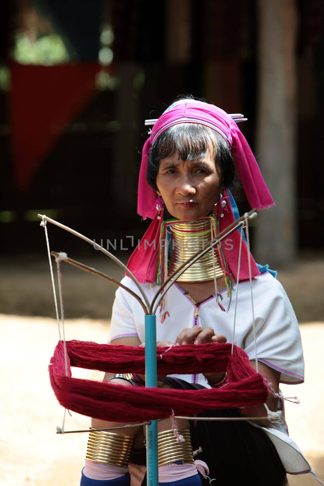 a traditional longneck women of the Paudang minority from Burma in a village north of chiang mai in the north of Thailand in Southeastasia. ...