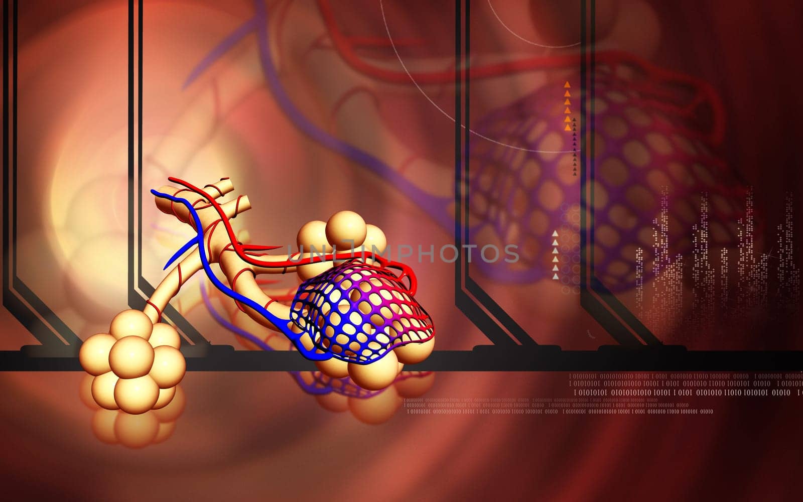 Digital illustration of alveoli in colour background
