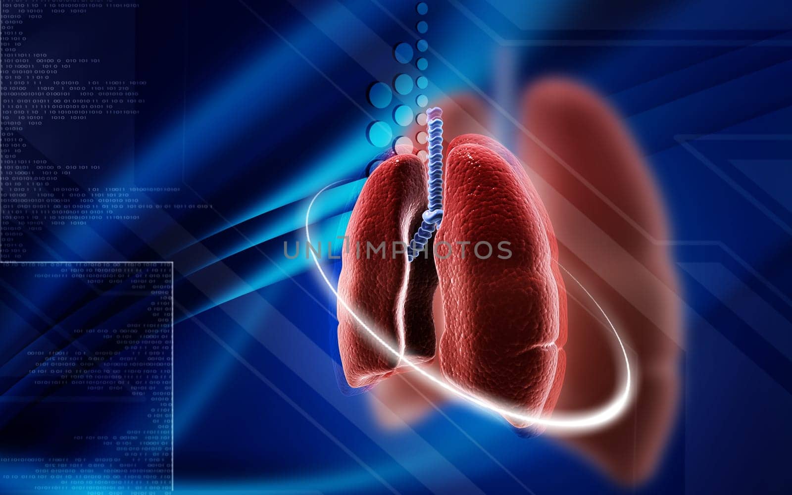 Digital illustration of human lungs in colour background