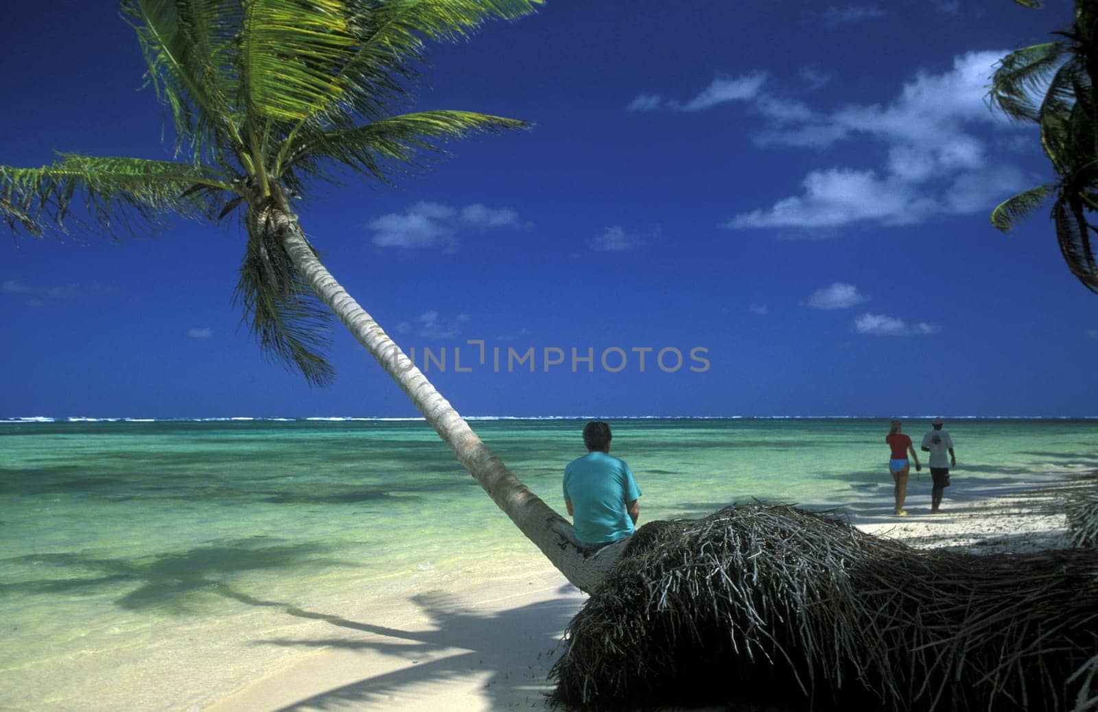 a Beach at the Village of Las Terrenas on Samanaon in The Dominican Republic in the Caribbean Sea in Latin America.