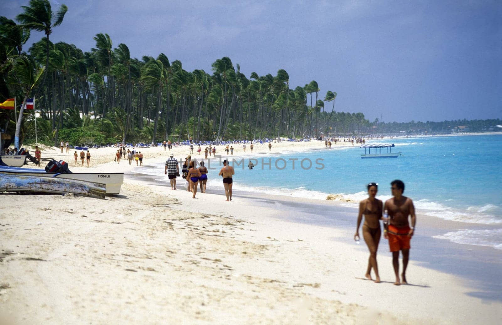 a Beach at the Village of Las Terrenas on Samanaon in The Dominican Republic in the Caribbean Sea in Latin America.