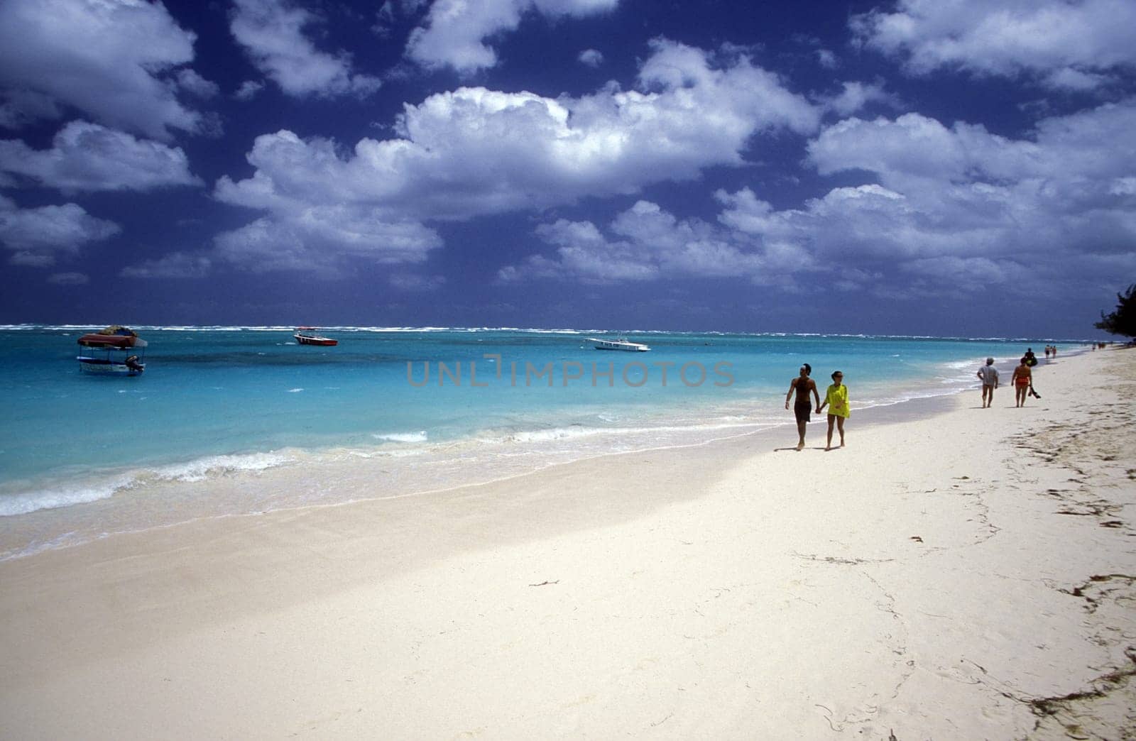 a Beach at the Village of Las Terrenas on Samanaon in The Dominican Republic in the Caribbean Sea in Latin America.