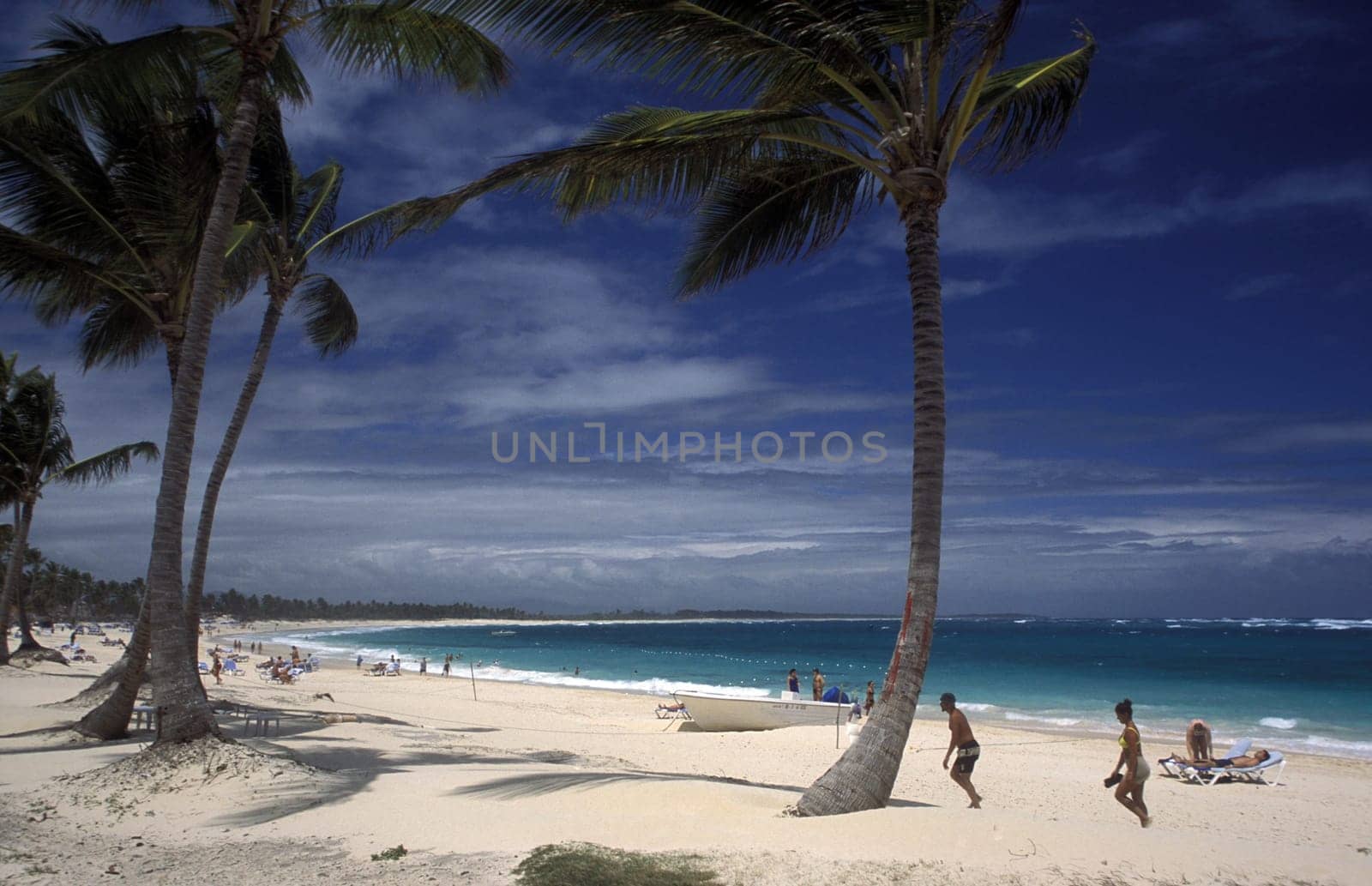 a Beach at the Village of Las Terrenas on Samanaon in The Dominican Republic in the Caribbean Sea in Latin America.