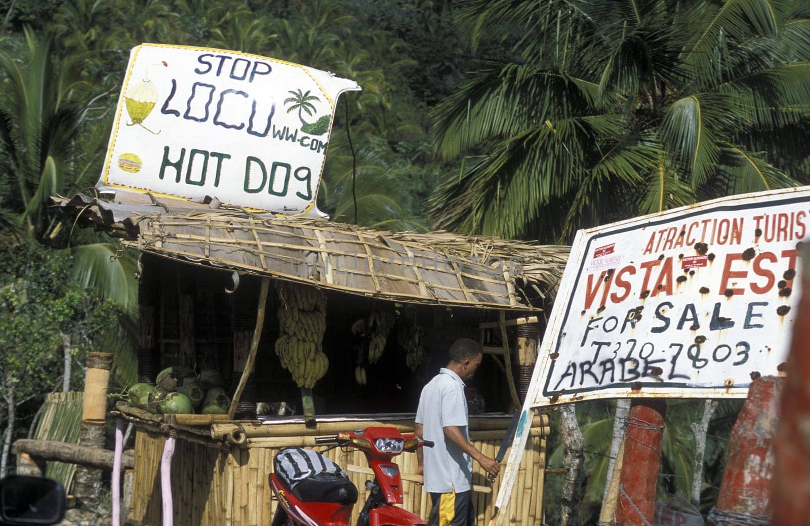 a shop at the Village of Las Terrenas on Samanaon in The Dominican Republic in the Caribbean Sea in Latin America.