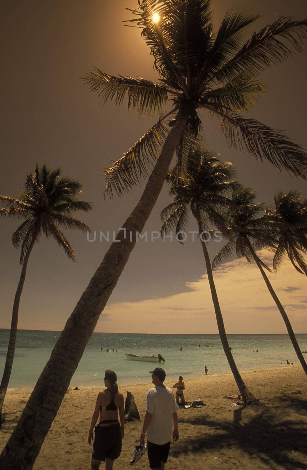 a Beach at the Village of Las Terrenas on Samanaon in The Dominican Republic in the Caribbean Sea in Latin America.