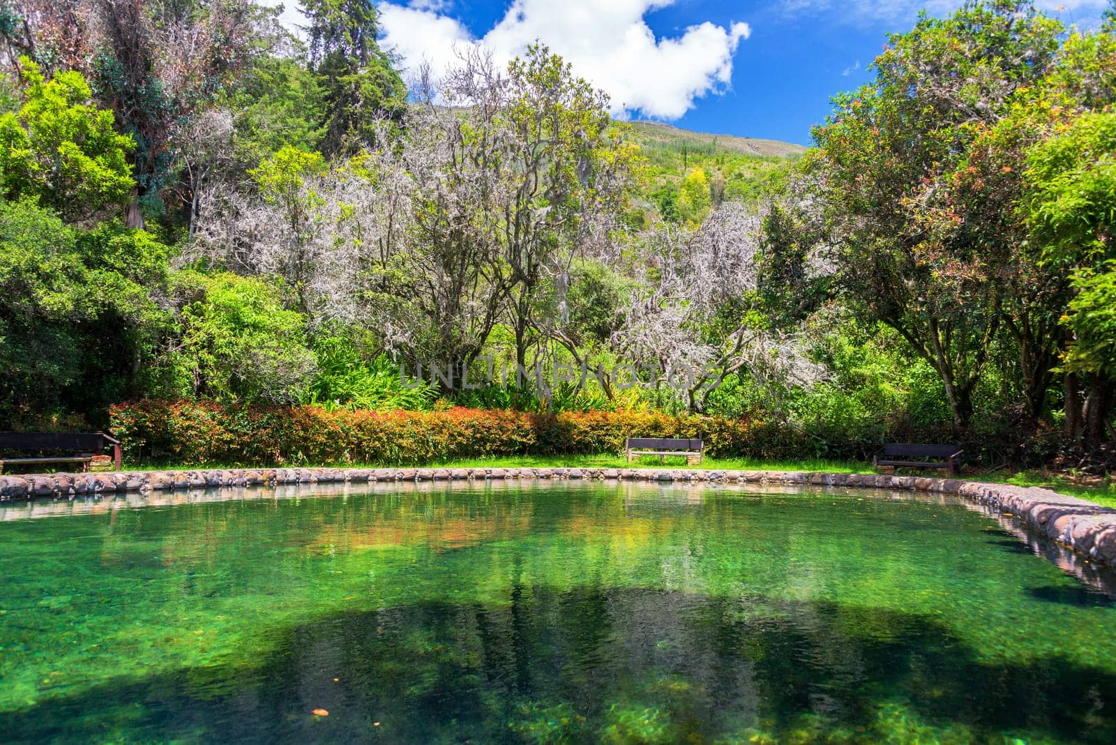 Green mineral pool in Villa de Leyva, Colombia